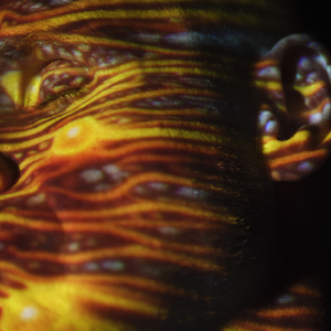 亚洲一卡2卡3卡4卡乱码网站
